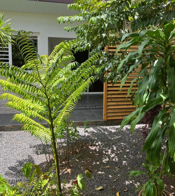 Pare Lodge Tahiti Pirae Luaran gambar