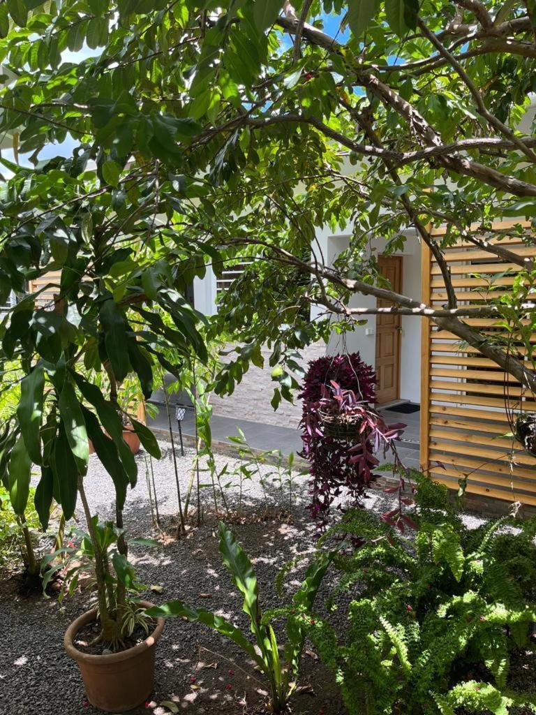 Pare Lodge Tahiti Pirae Luaran gambar